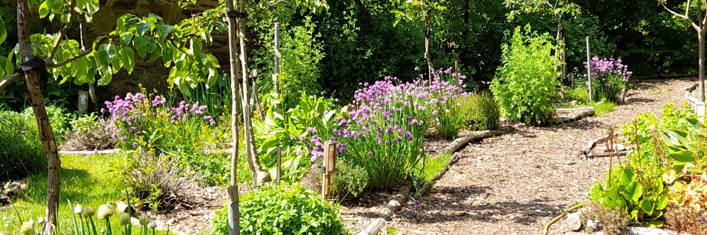 The Heugh Community Garden