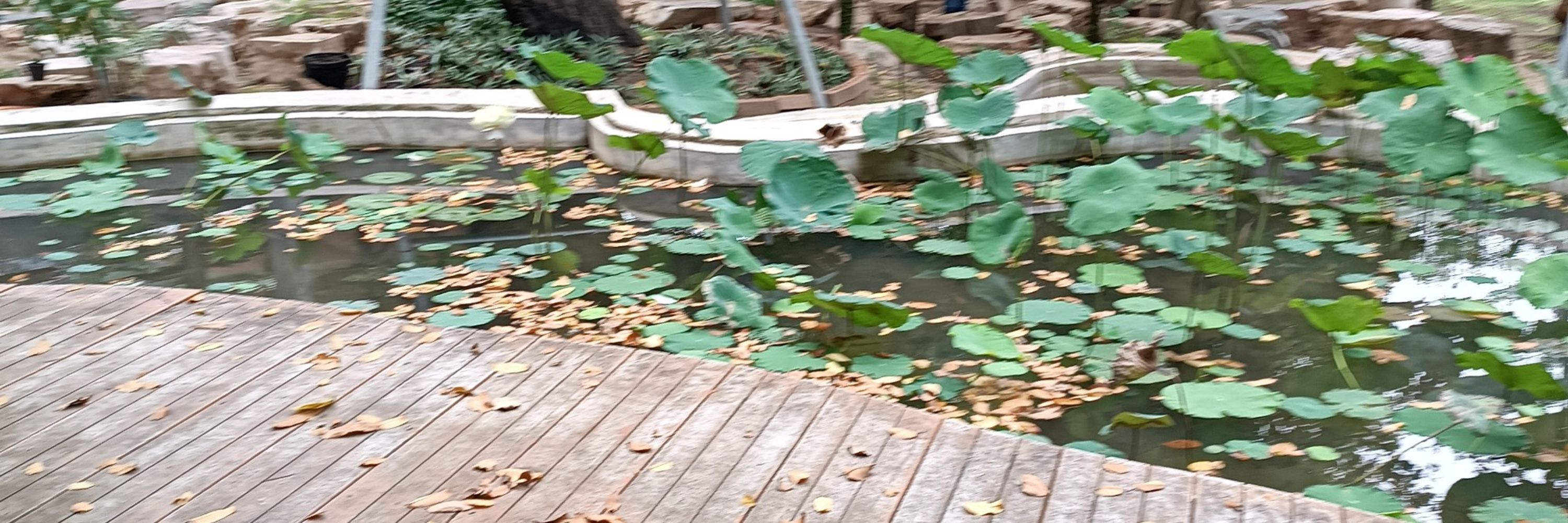 โลกใบที่สอง