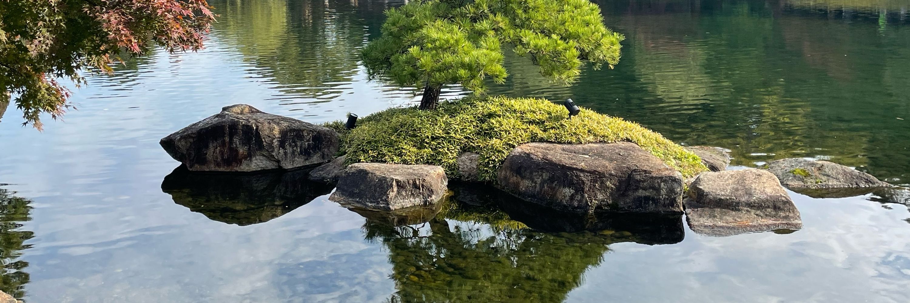 ニュースコメント（土居申弥）