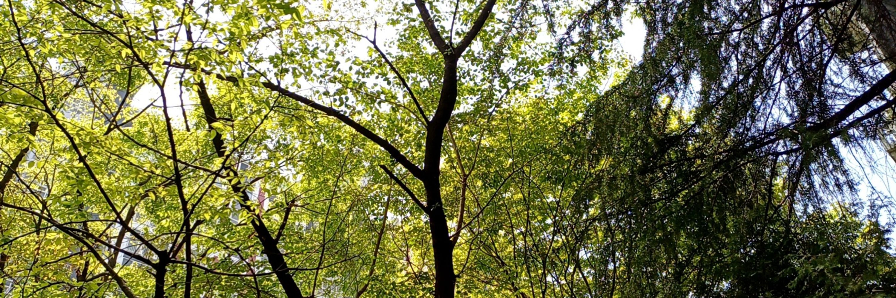 김말잉