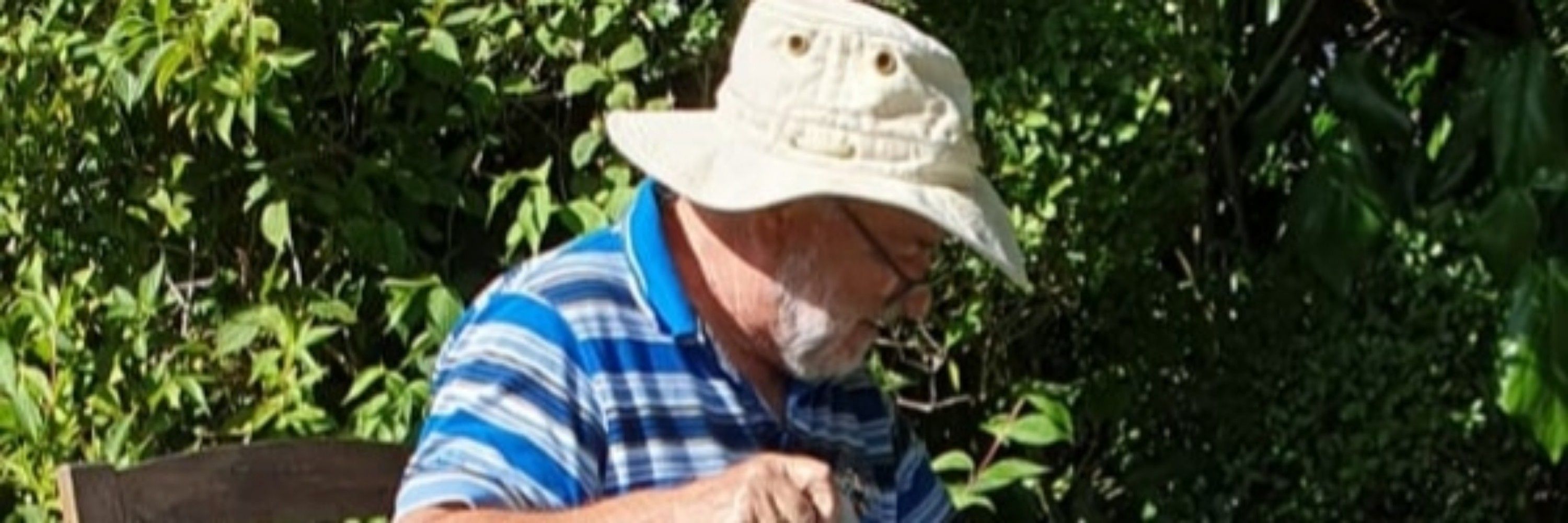 Don Ismay (aka @prosobranchia)