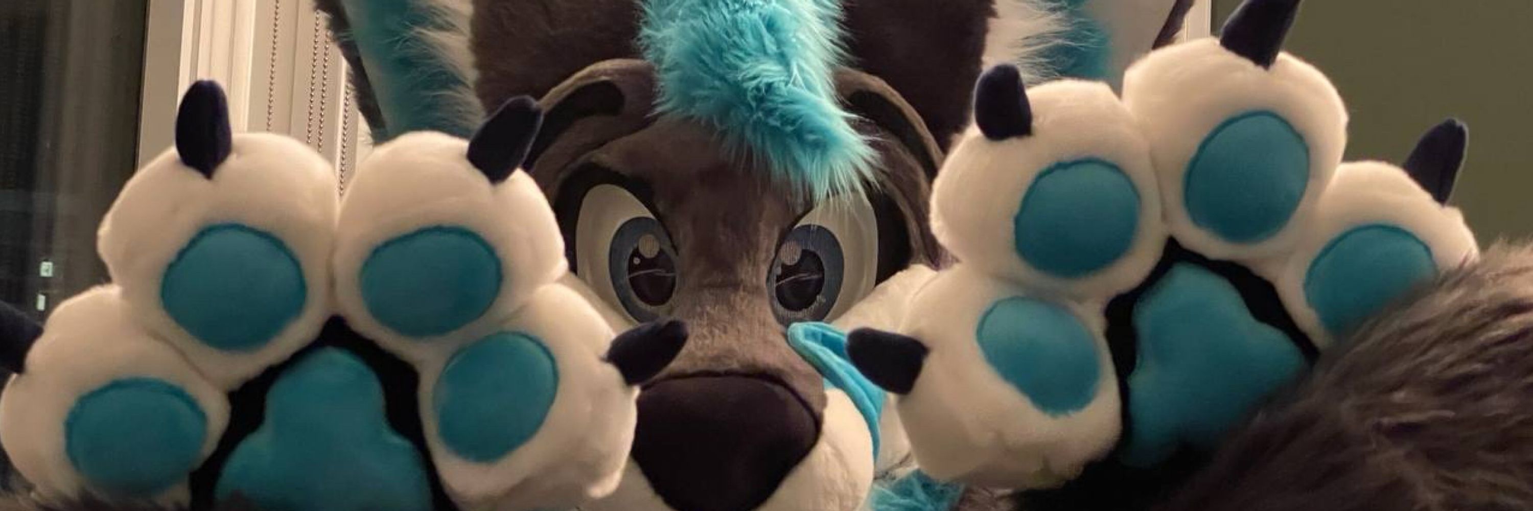 Dex 🐾✨