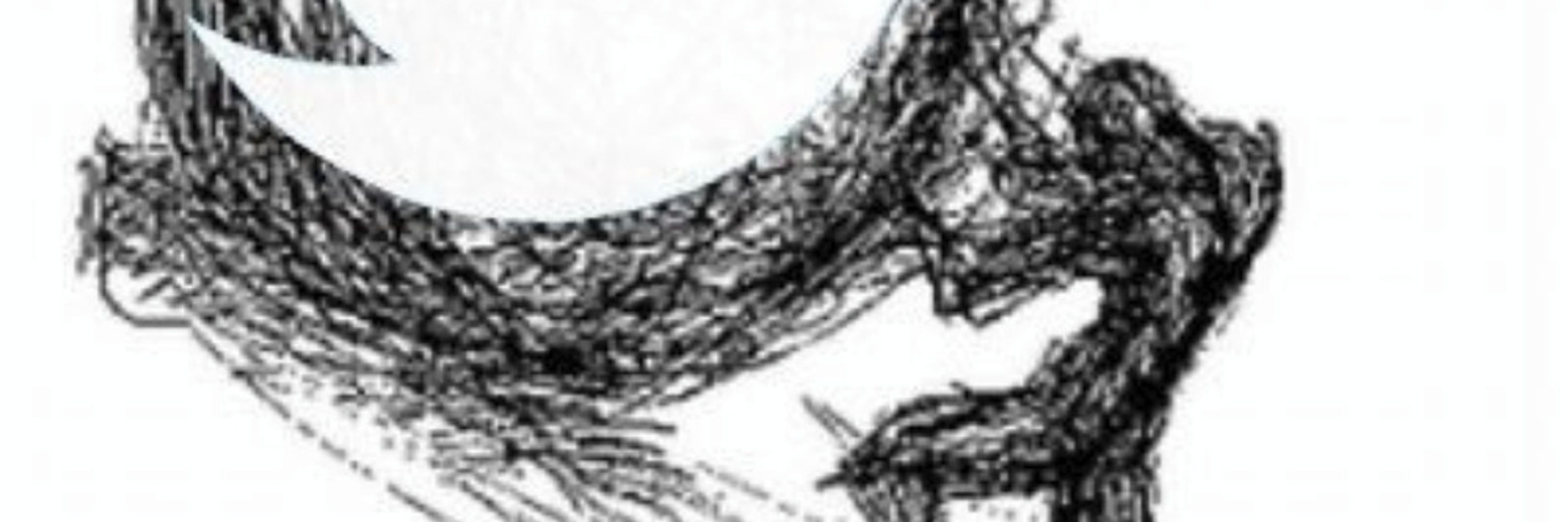 Zygmuntowicz
