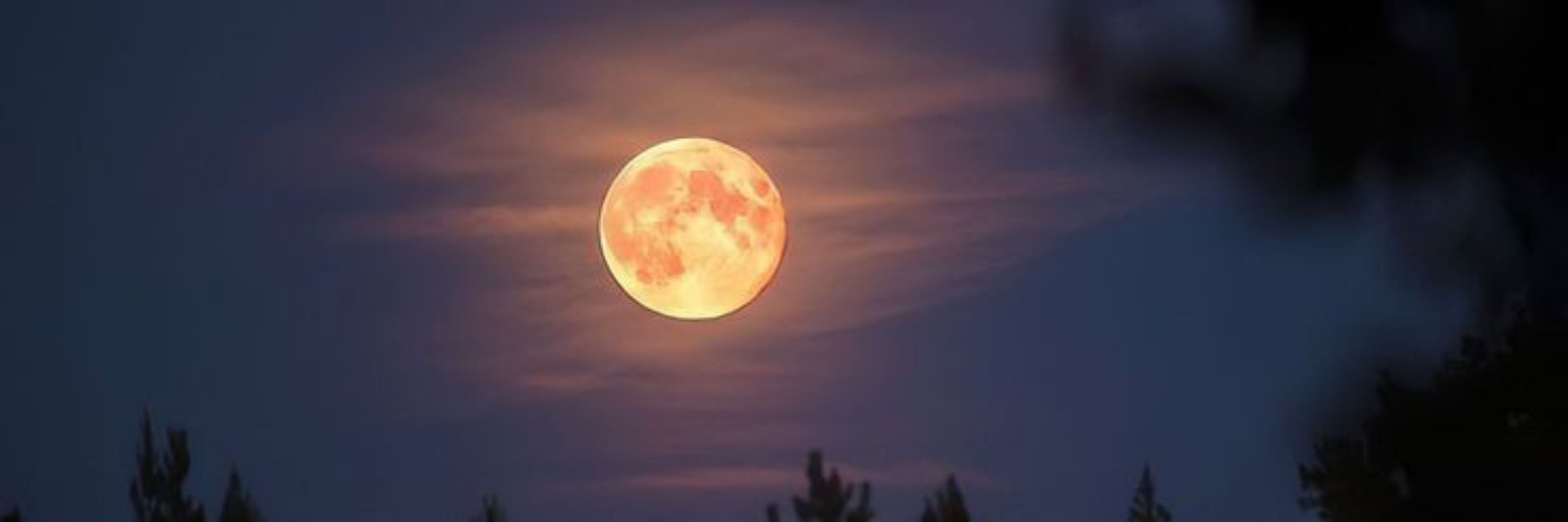 Монстр энерджи 🌕🌧️ Jbc
