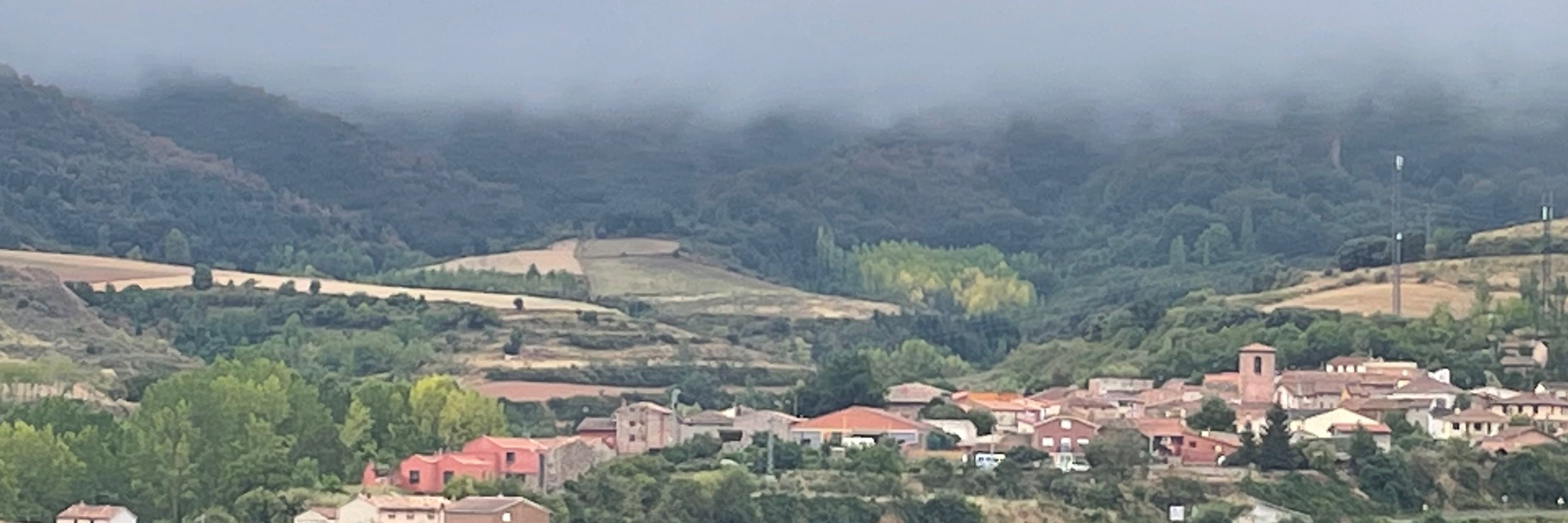 Rodri