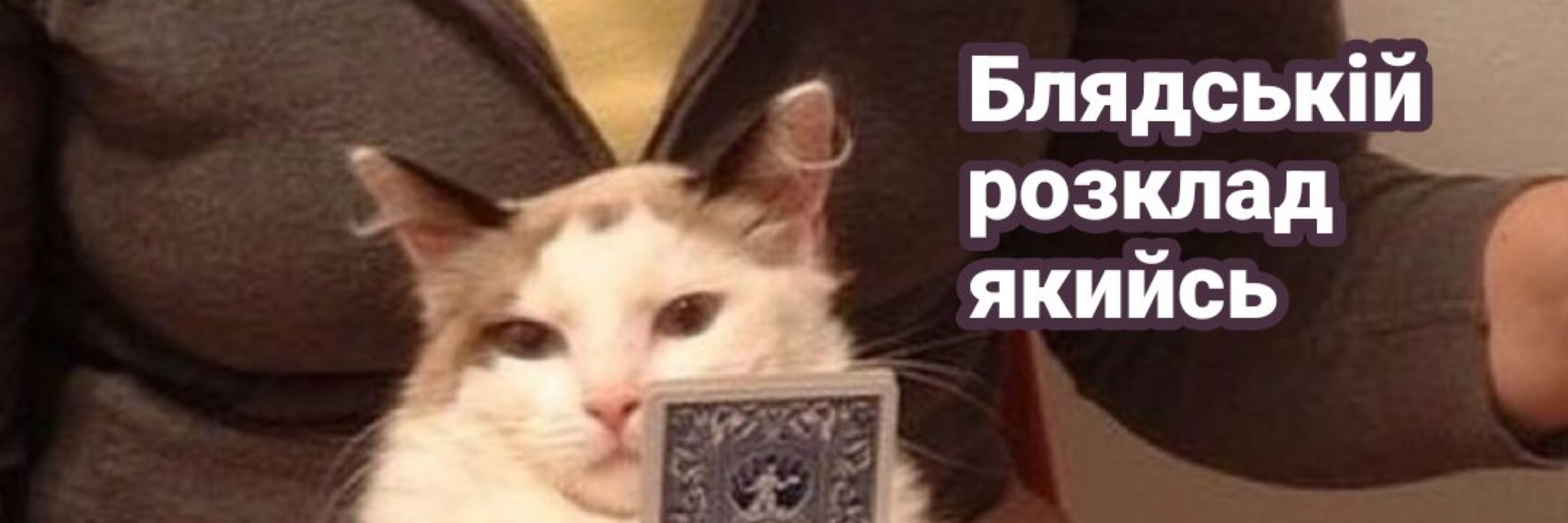 зла оленка 🇺🇦