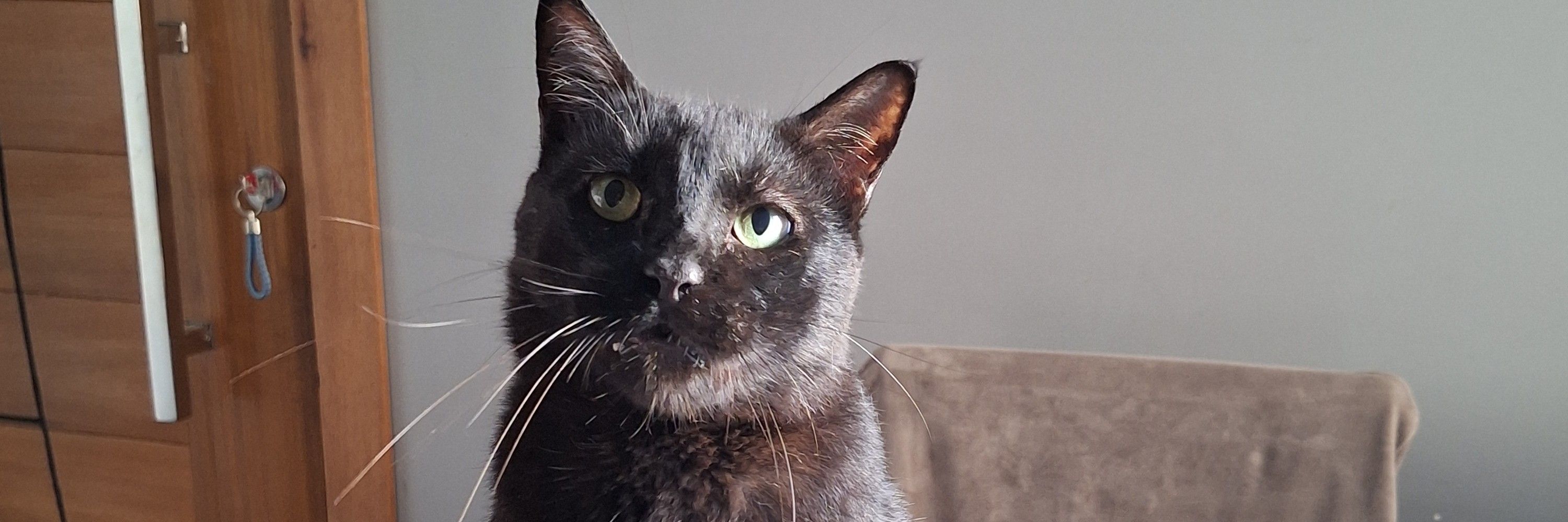 José
