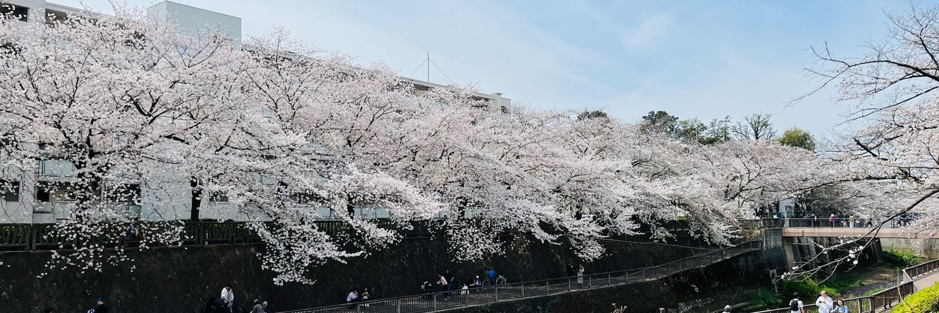 なべやき