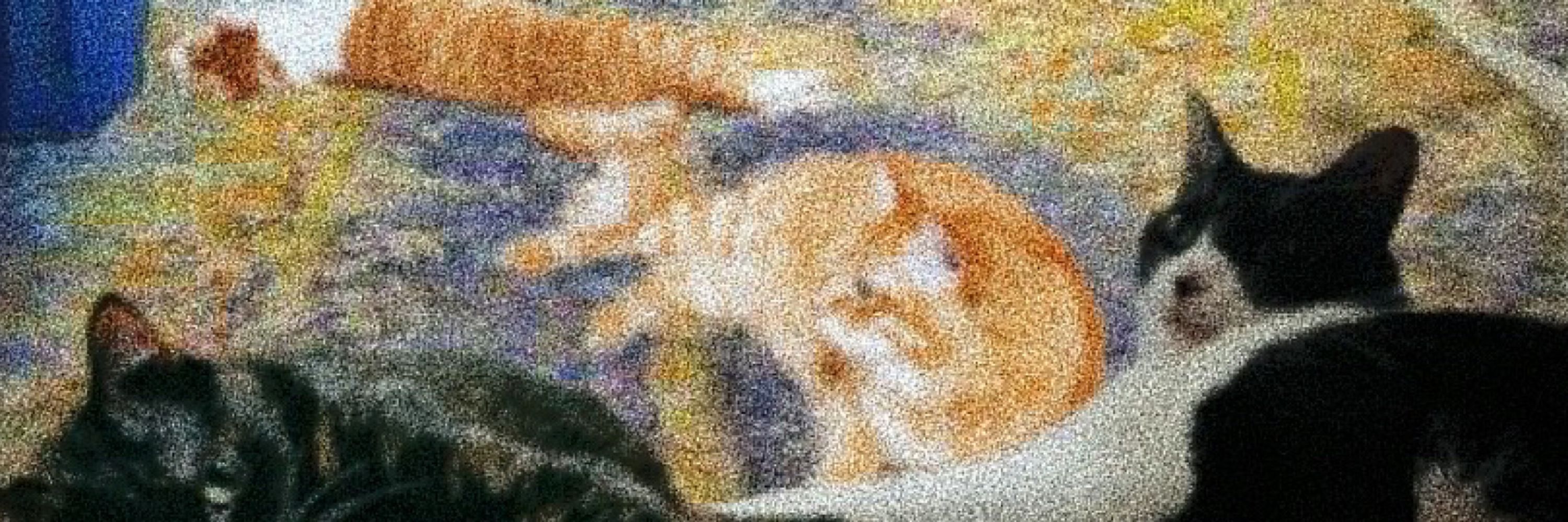 ねこはいいぞ