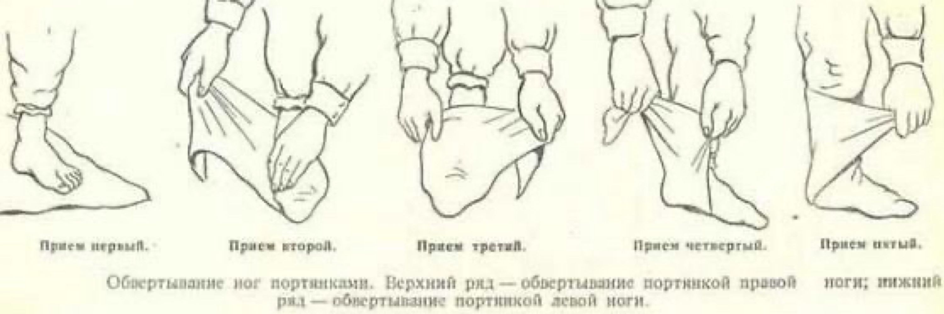 Tomek Ryba