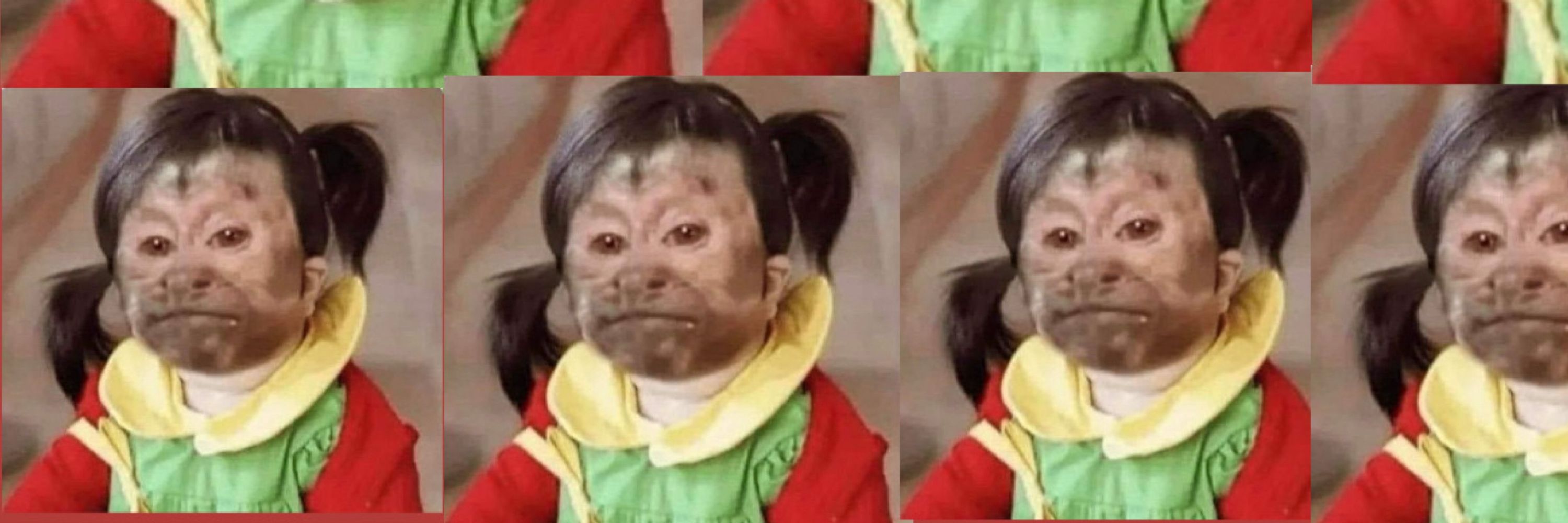 xiquinha monkey