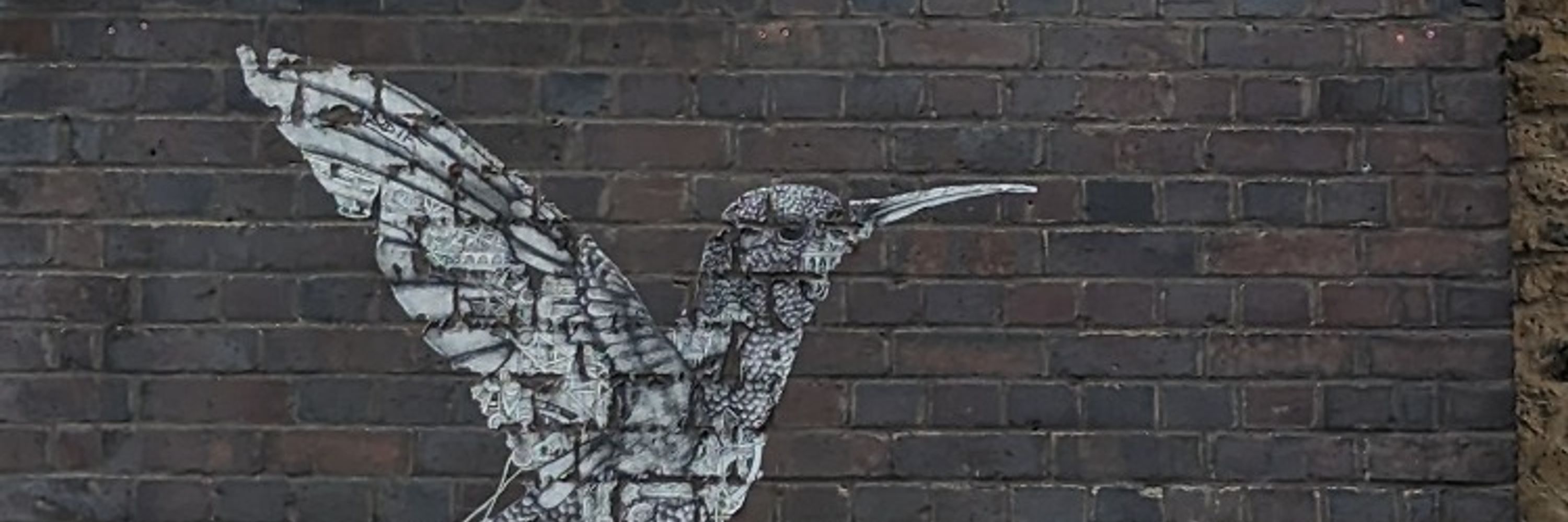 Wren