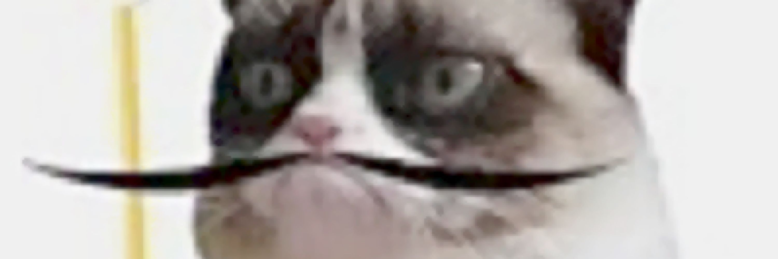 Jean C