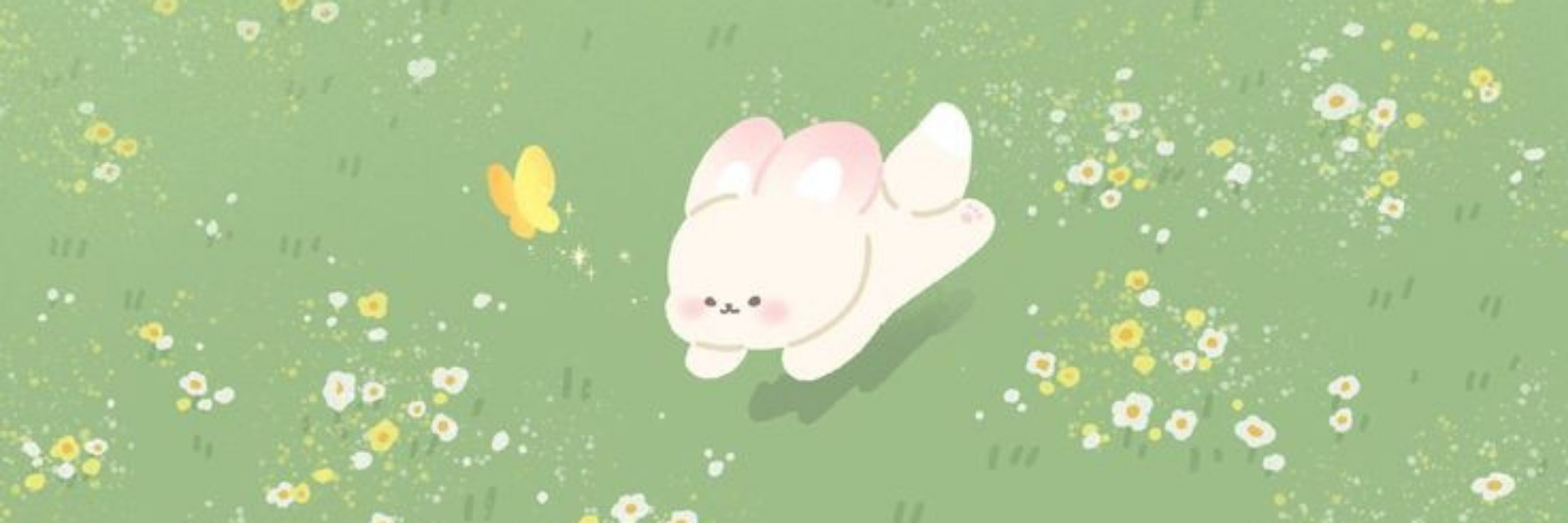 ղαɾí.・゜゜・