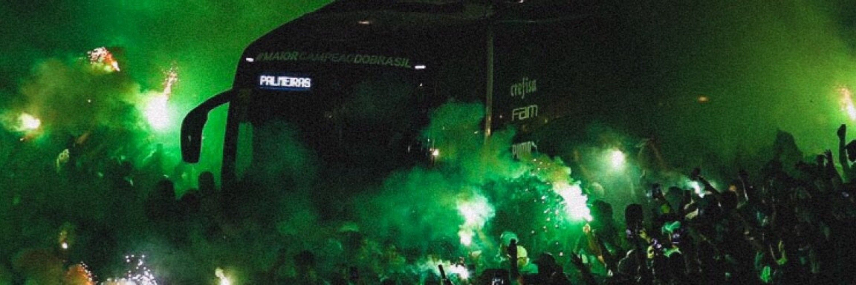 Gui é o Porco 🐷💚