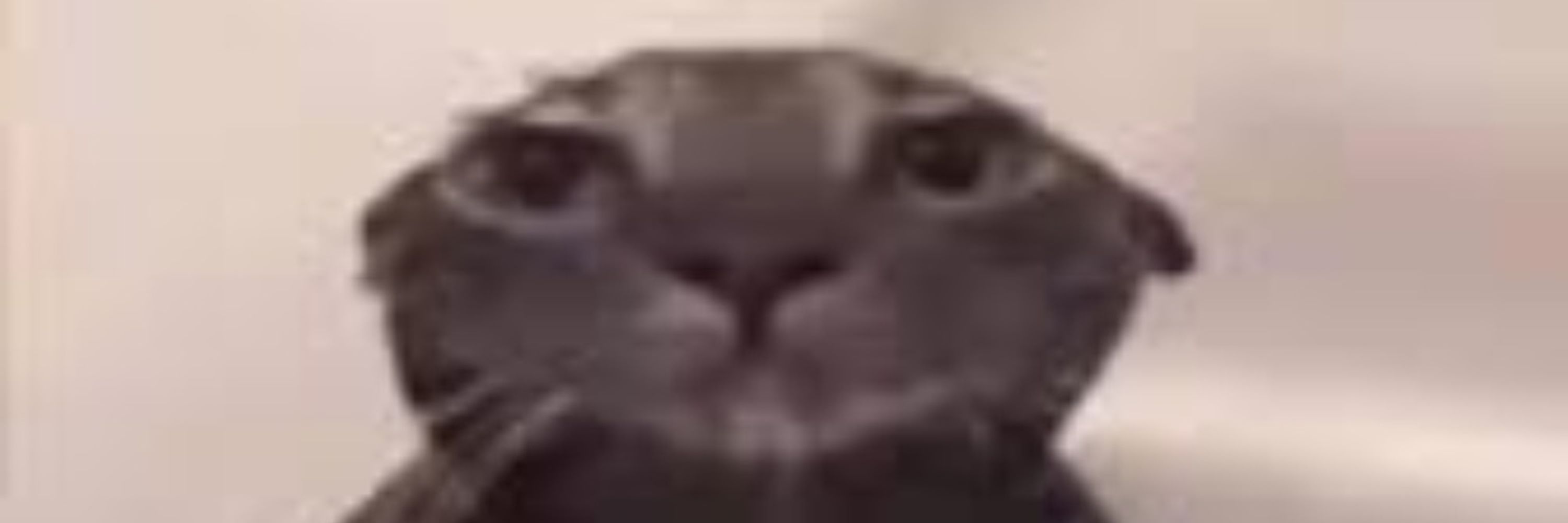 Cad