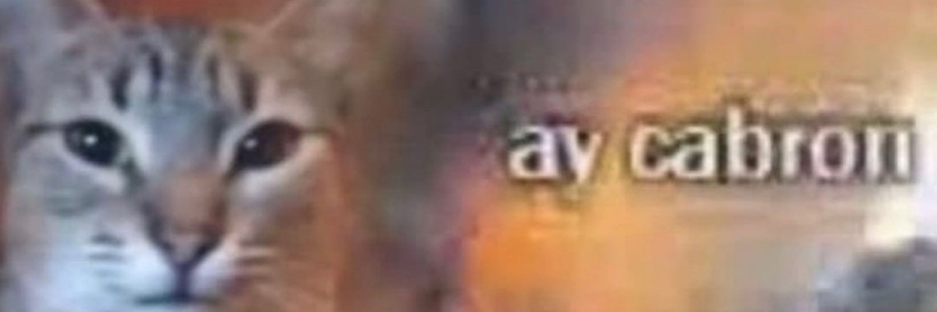 van