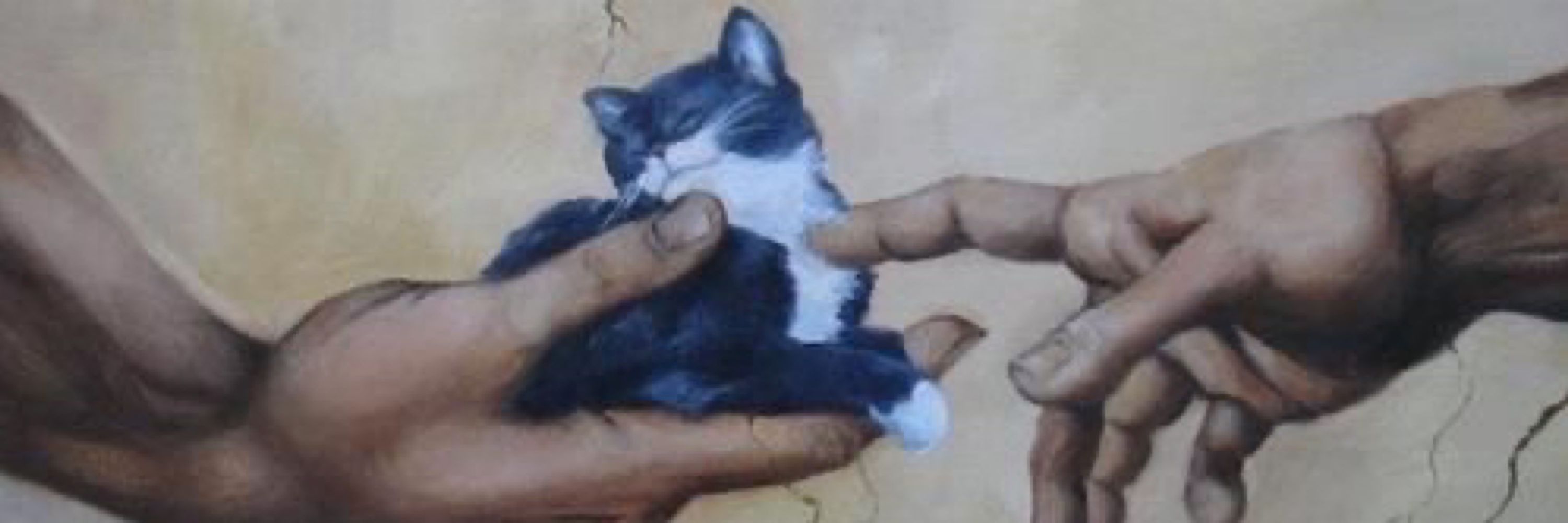 پەڕەسێلکە
