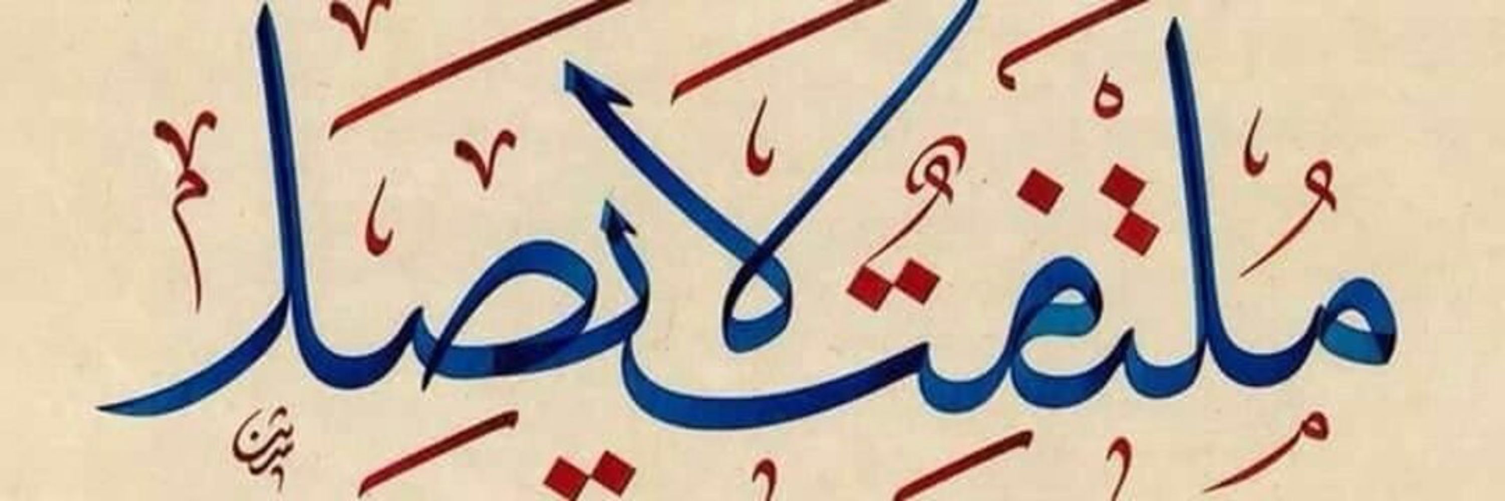 Asmaa shafik 🐱