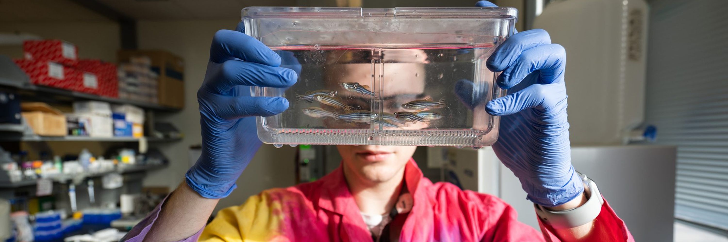 Genetics and Genomics Academy at NC State University