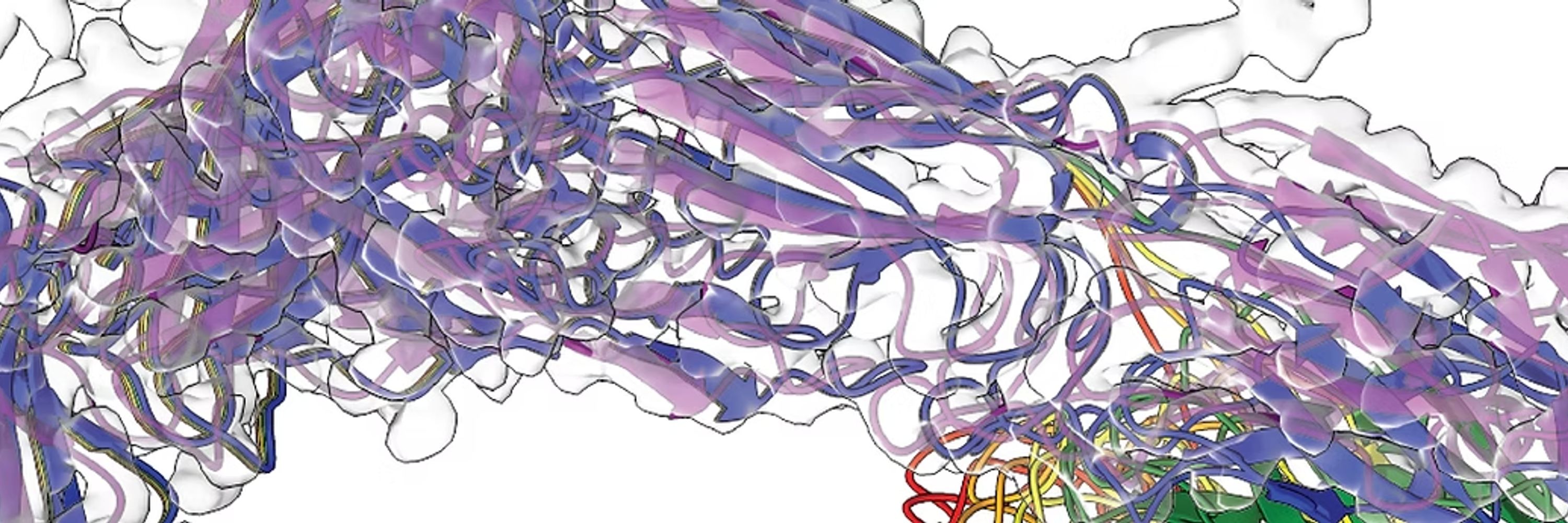 Topf Lab