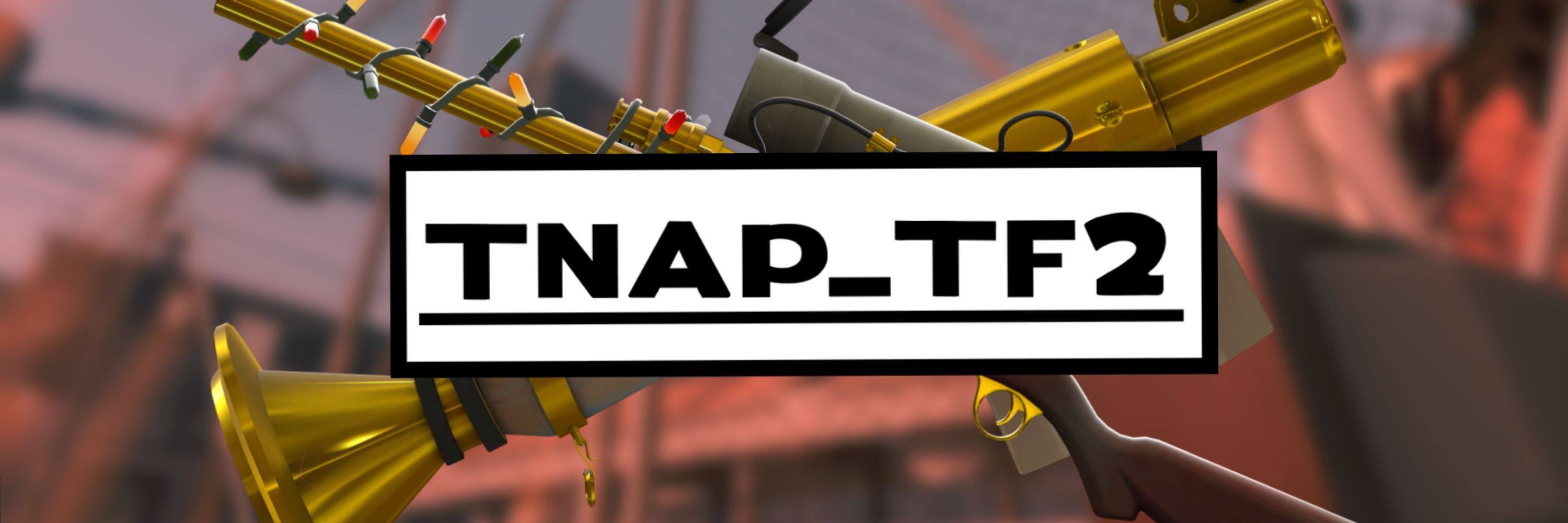 Tnap_tf2 // ENVtuber