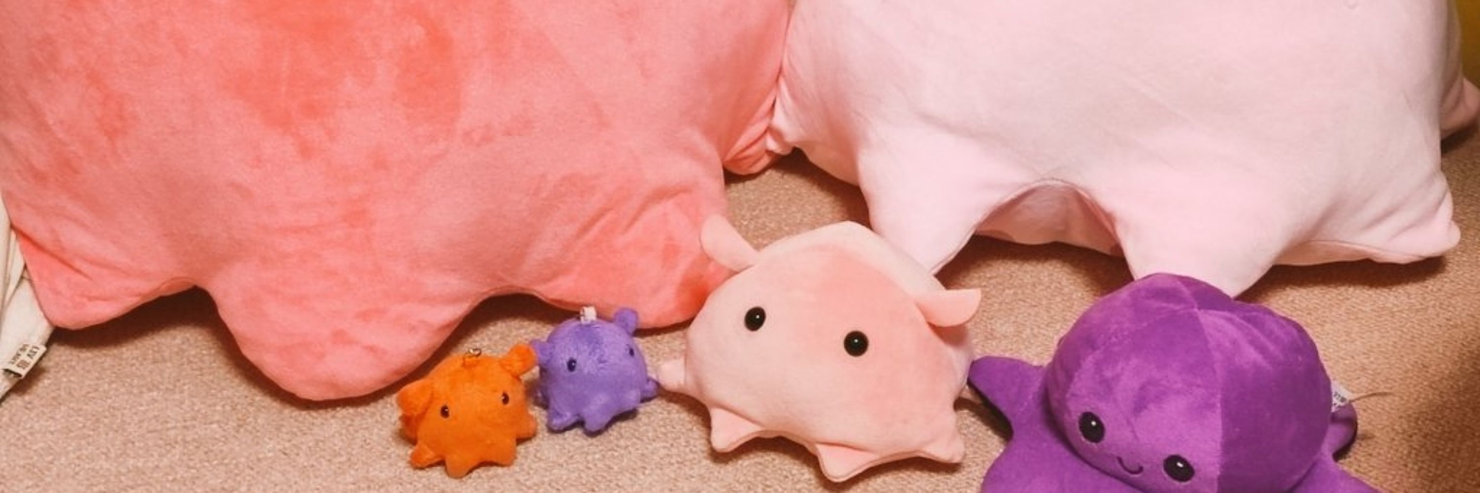 たこまる🐙◯コンパス