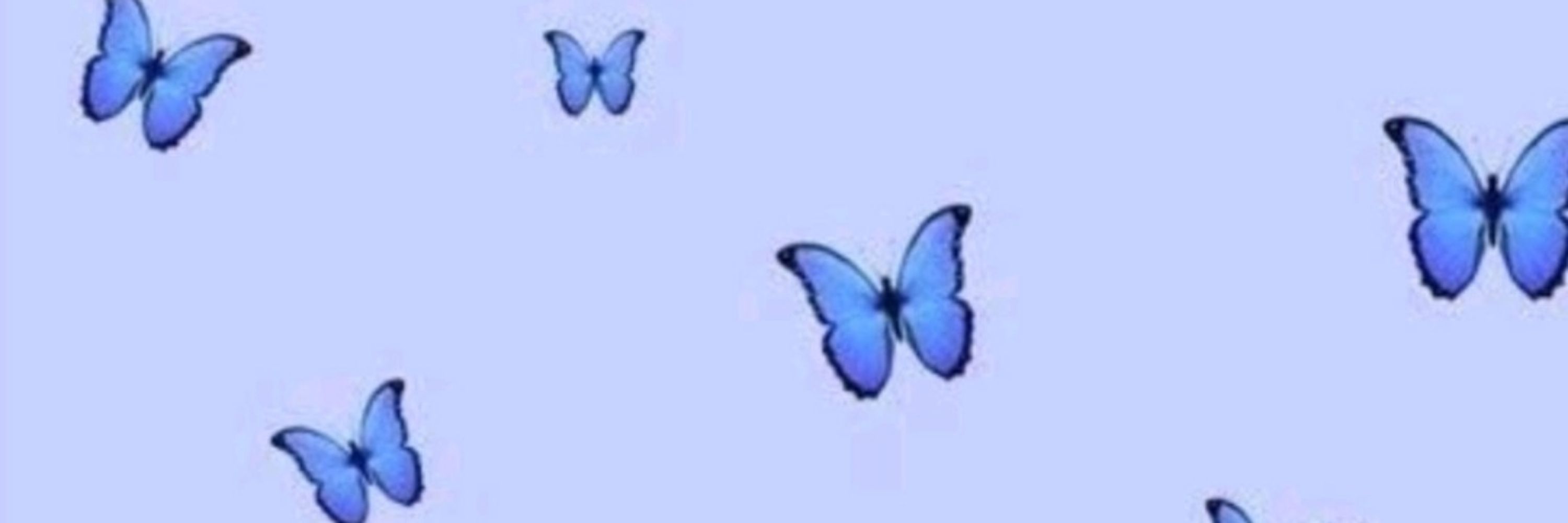 Bruna 🦋