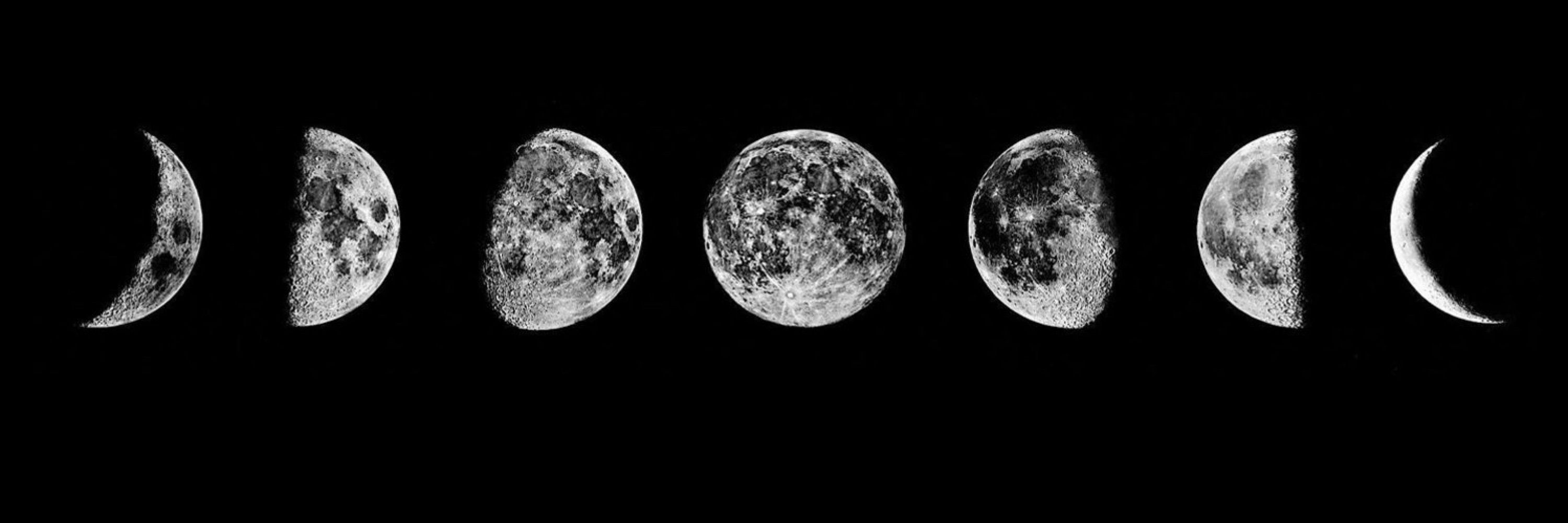 Moonie 🌙