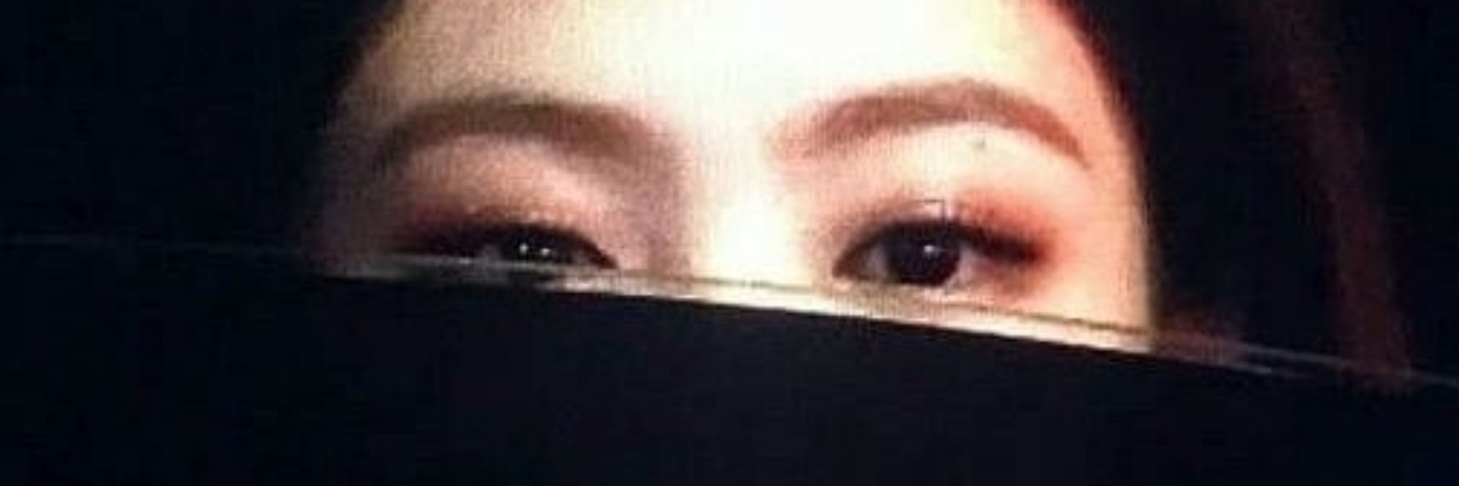 Seulgixip