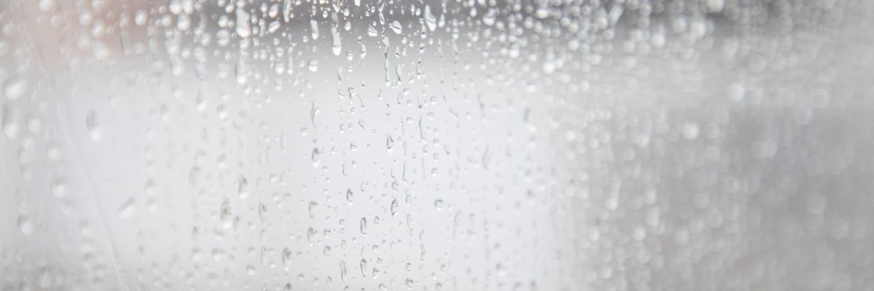 無雨/燈火_読書/詩/製本