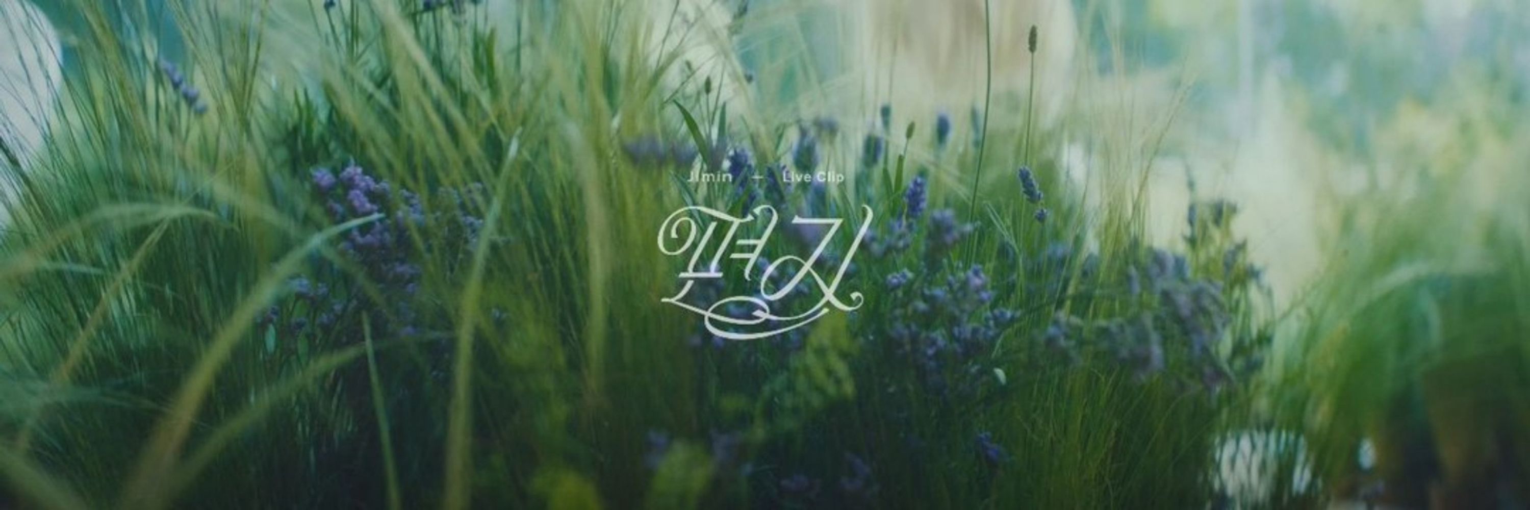 ✿