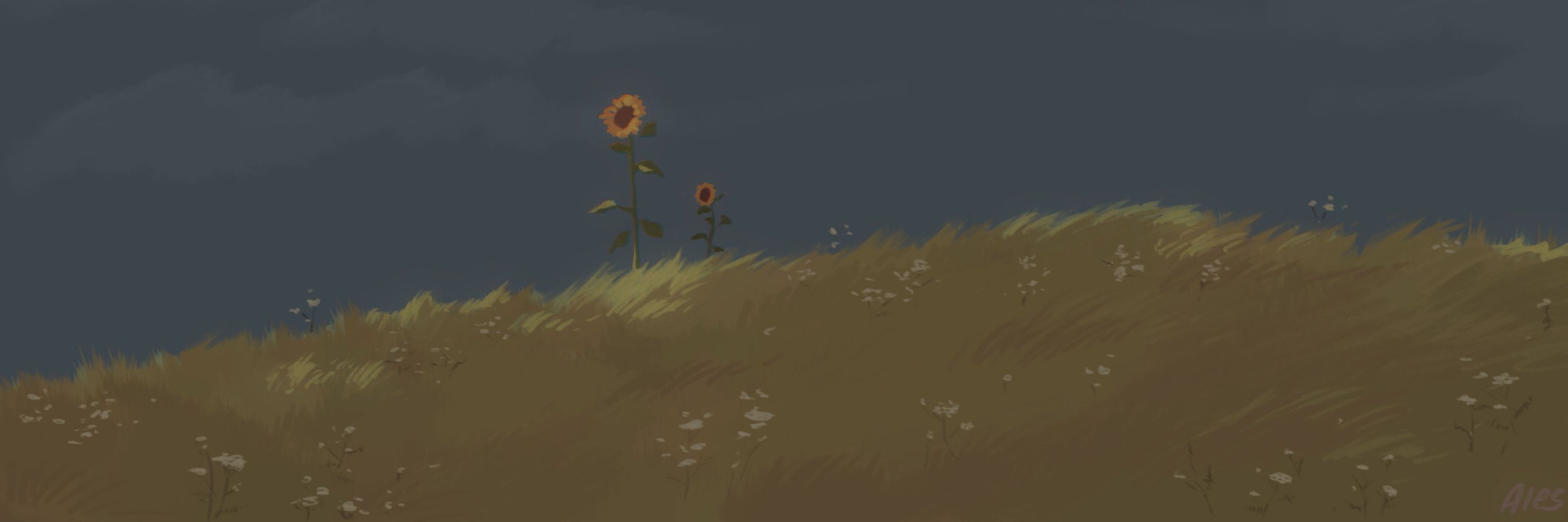 duckwheat 🌻