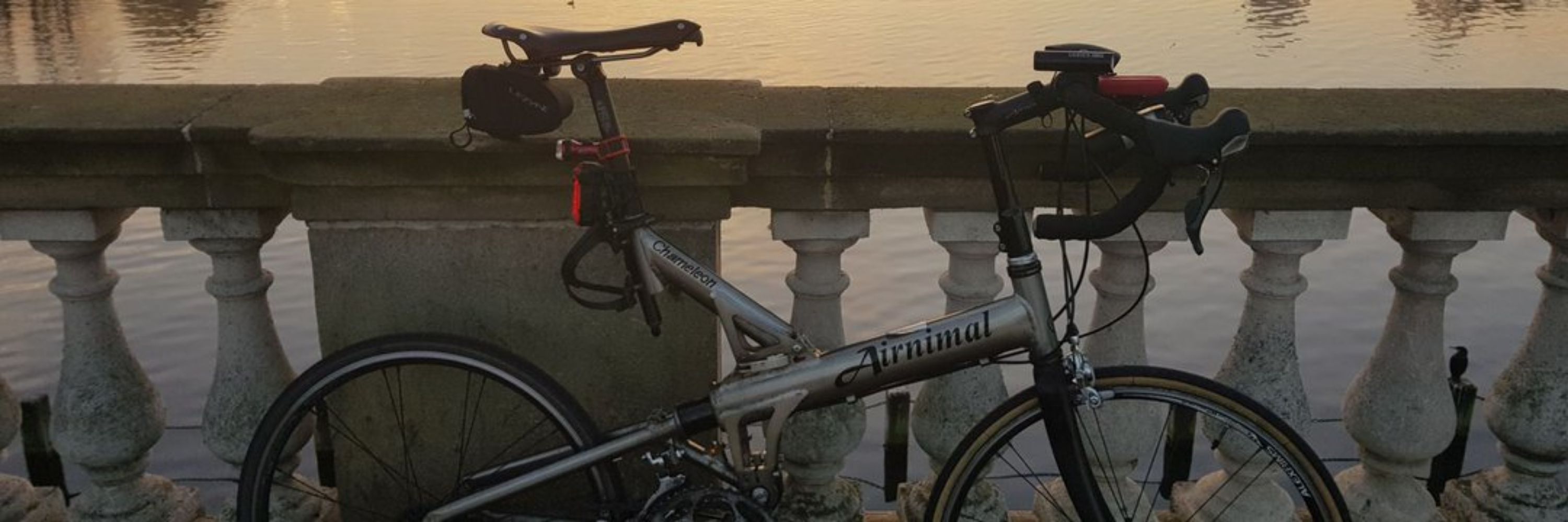 Cycle Whamp