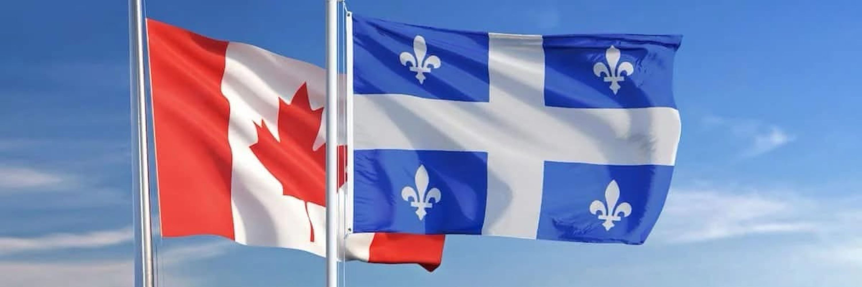 La française du Québec 🇨🇦