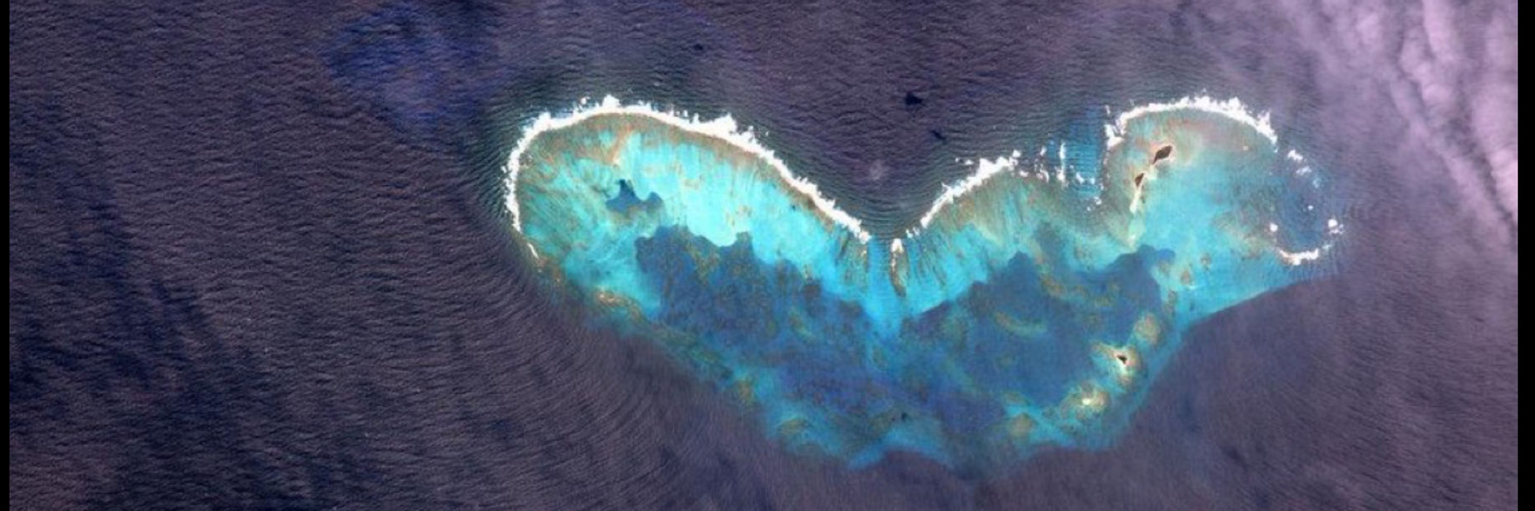 Scott Kelly