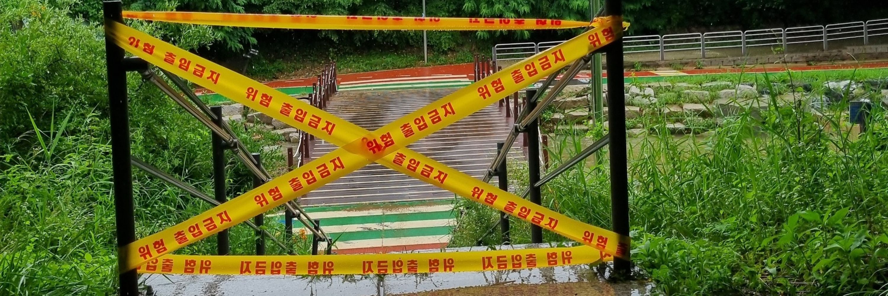 양