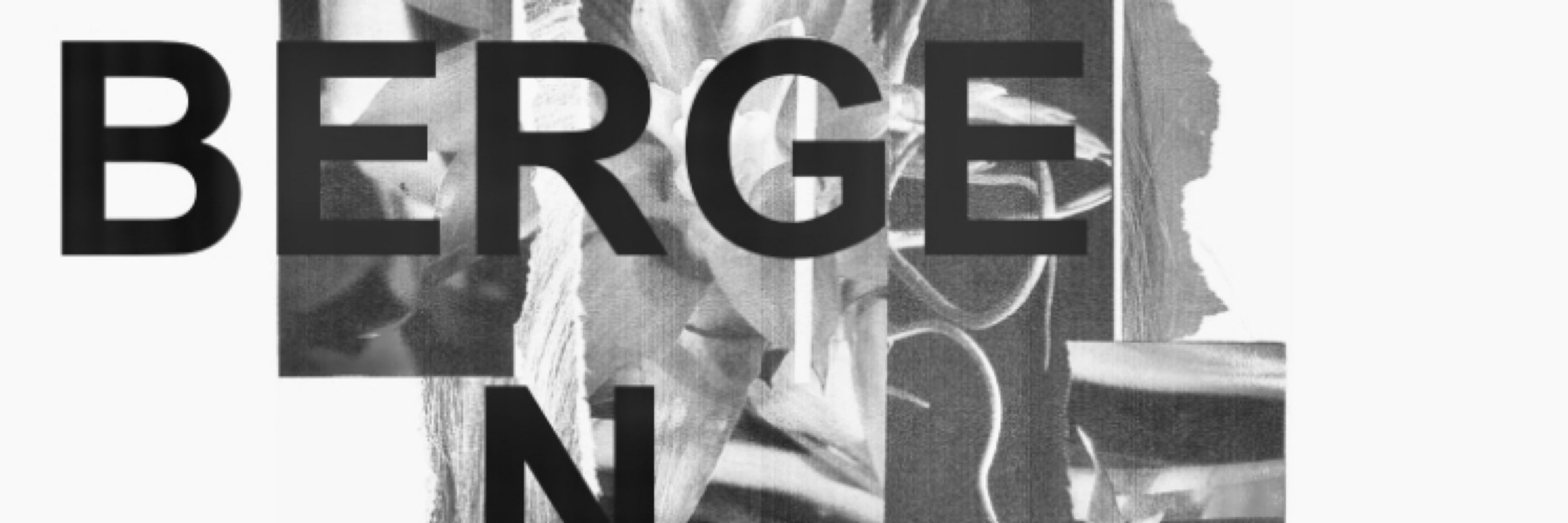 Jonathan Bergen