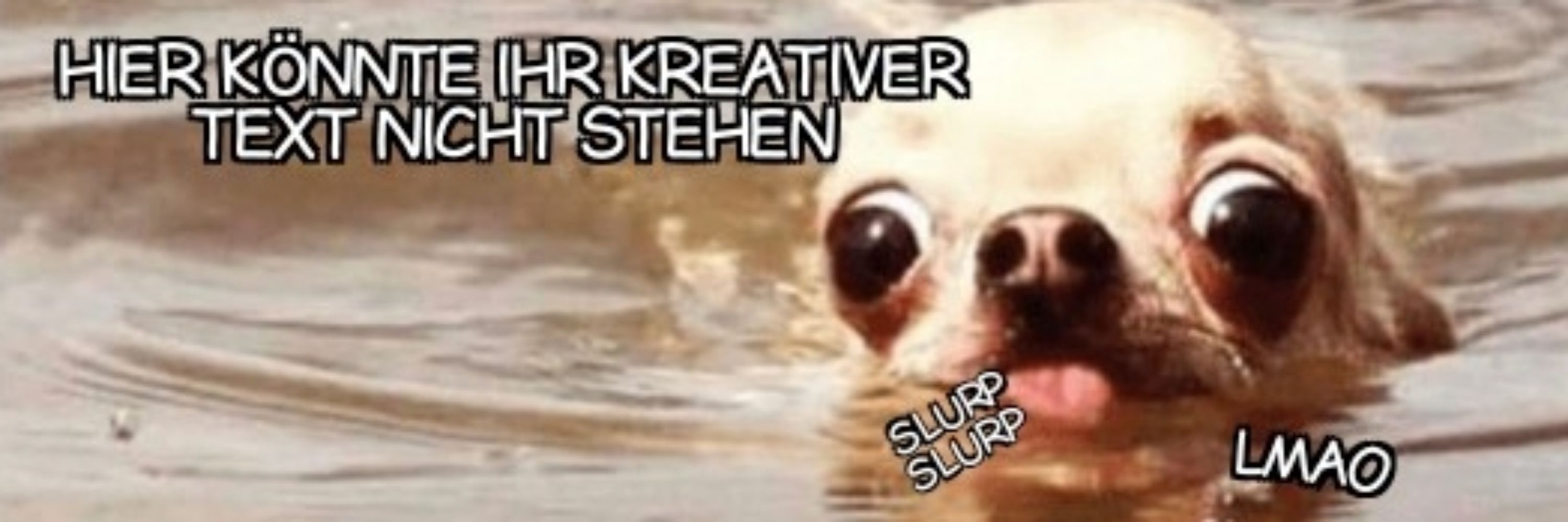 ShitPostSekte