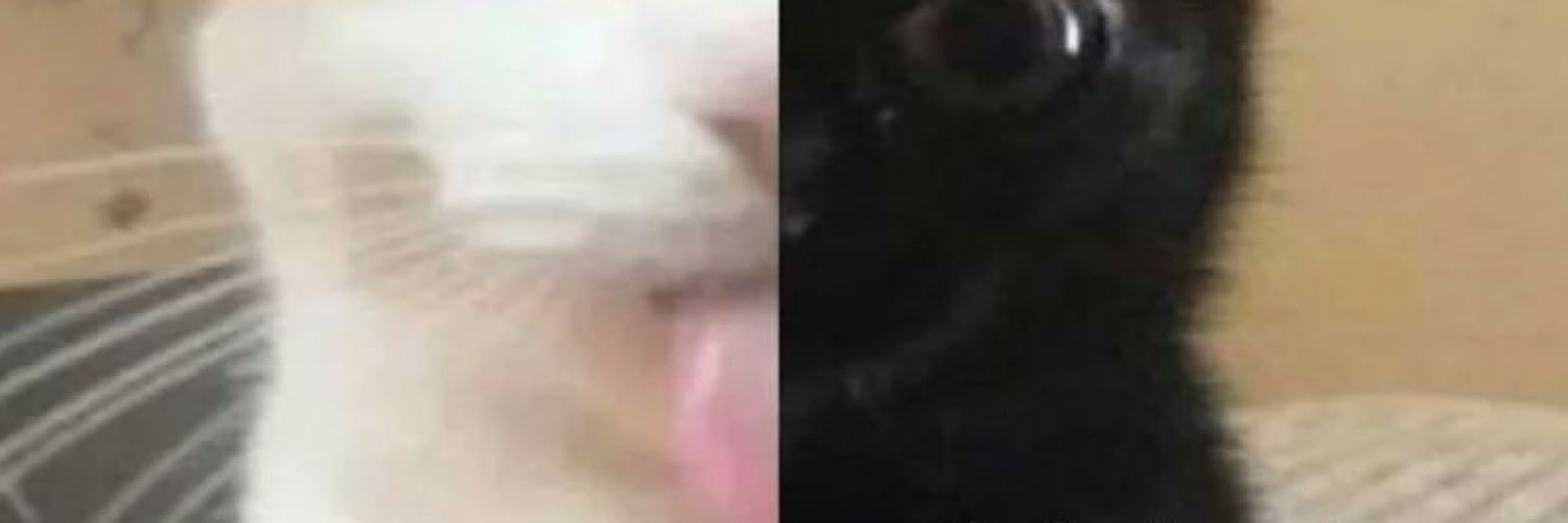 Kay-