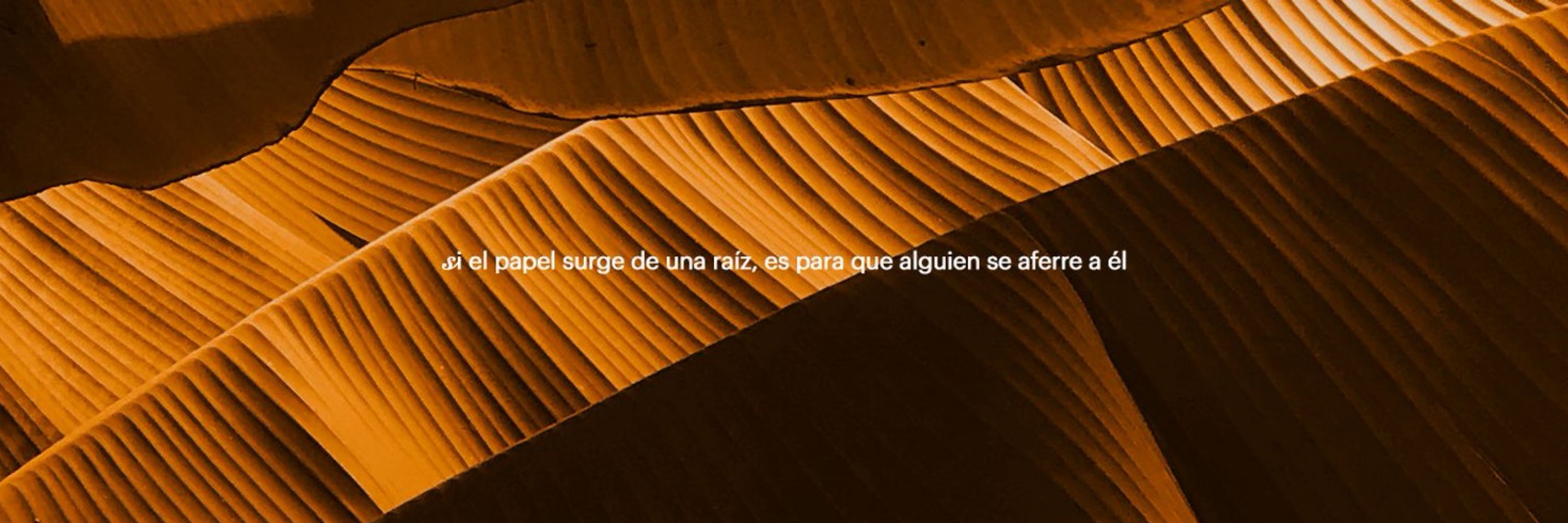 Lecturas de arraigo