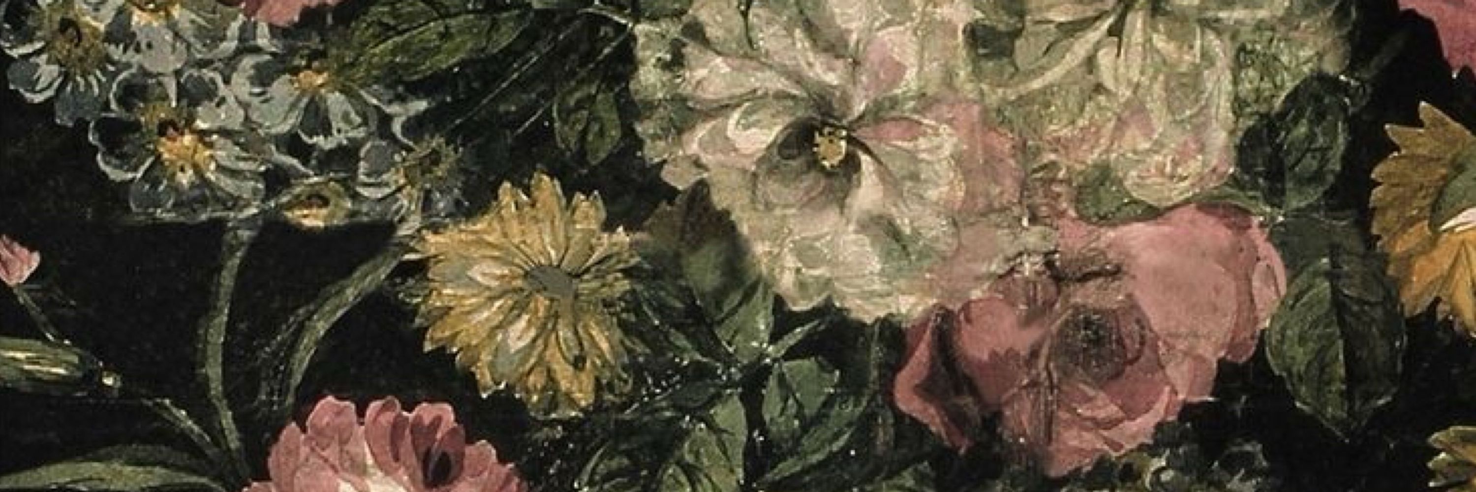 Diva Carnauba