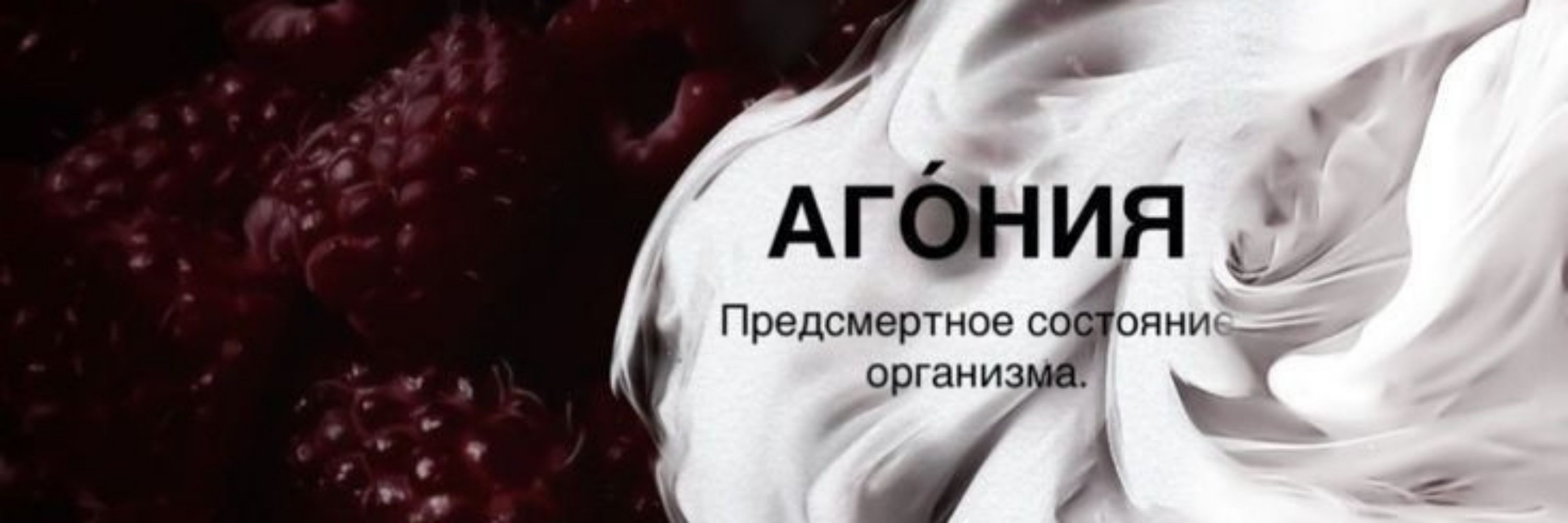 ࣪ ִֶָ 𝖿𝗂𝗇𝖿ì | ПОИСК МЬЮ