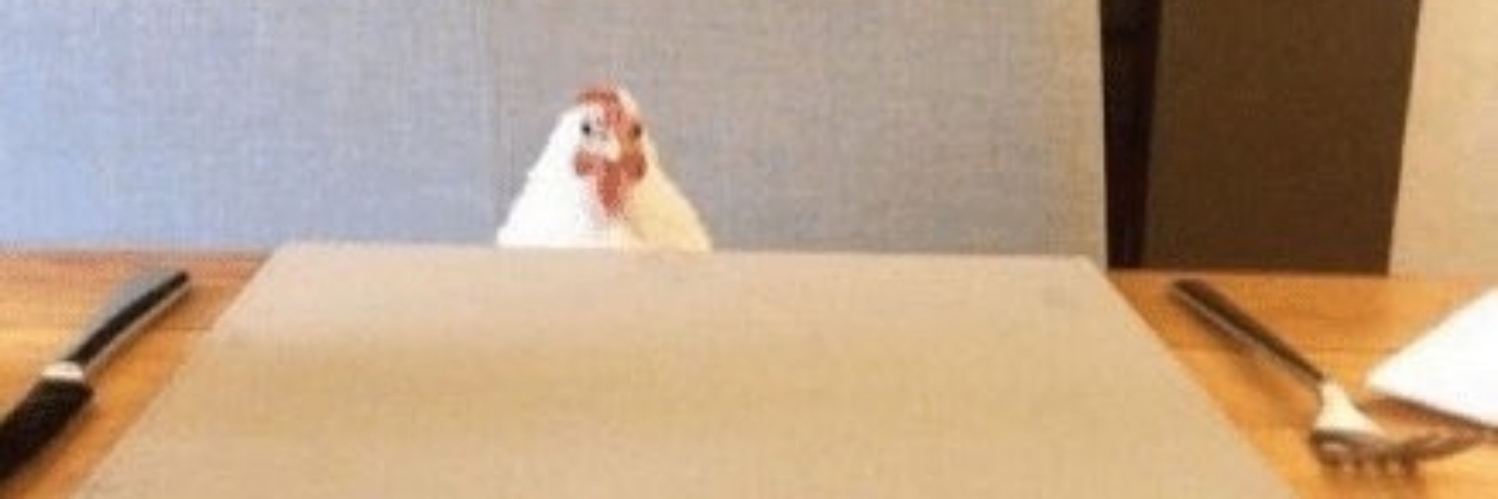 trainee Francky