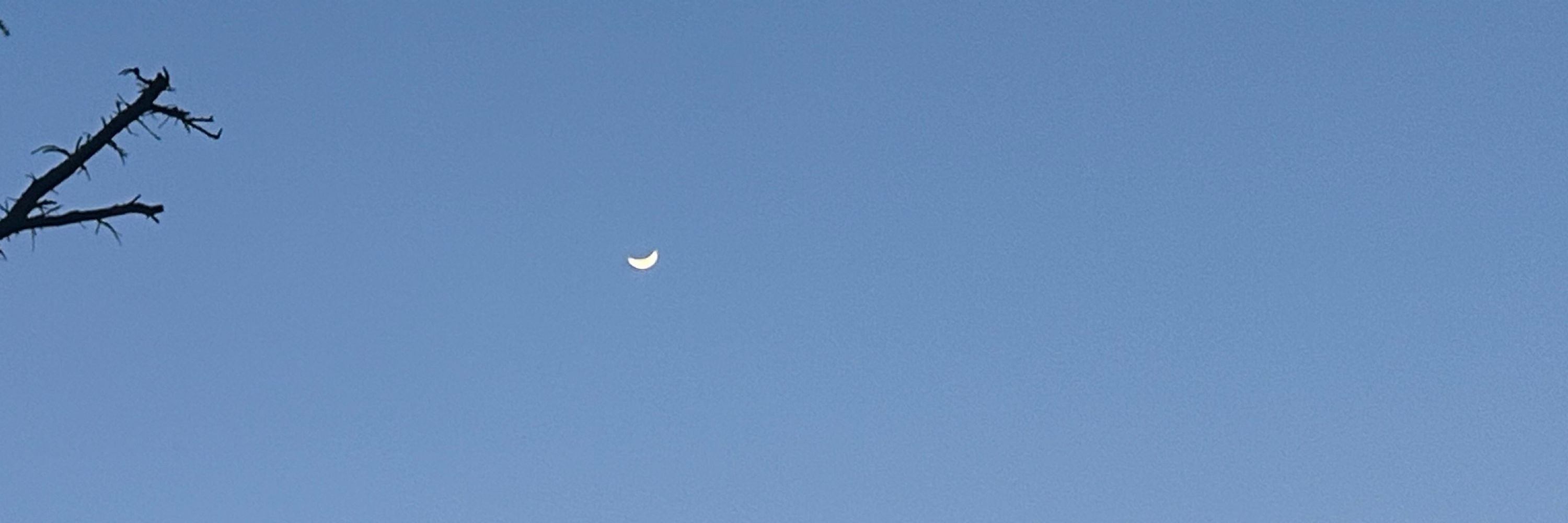 보