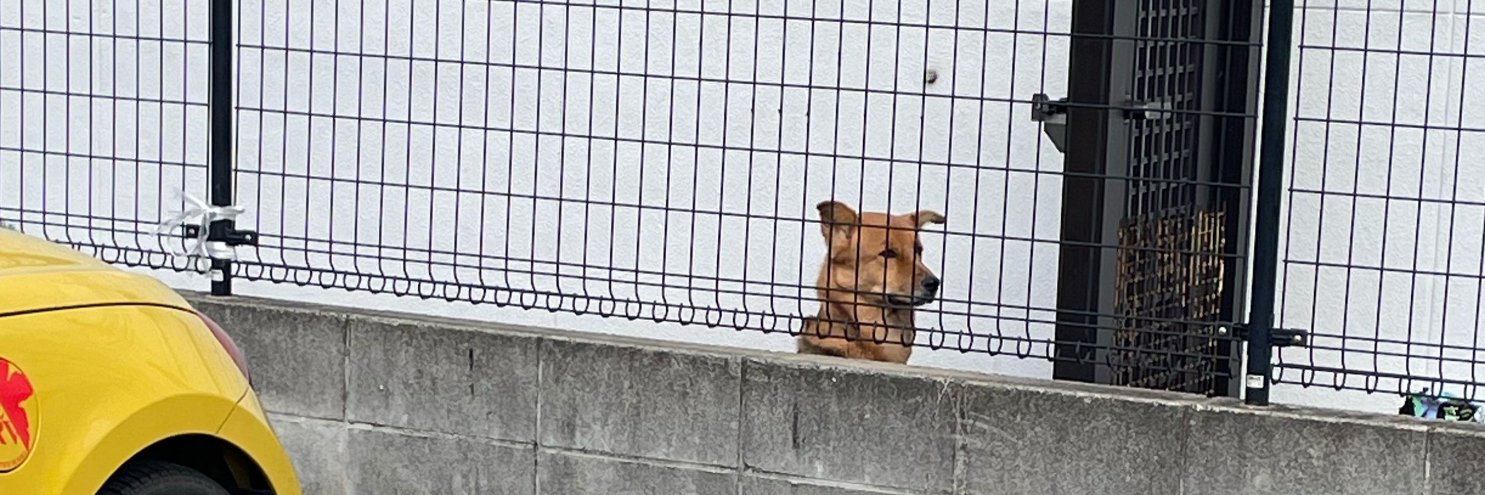 出直し編集者