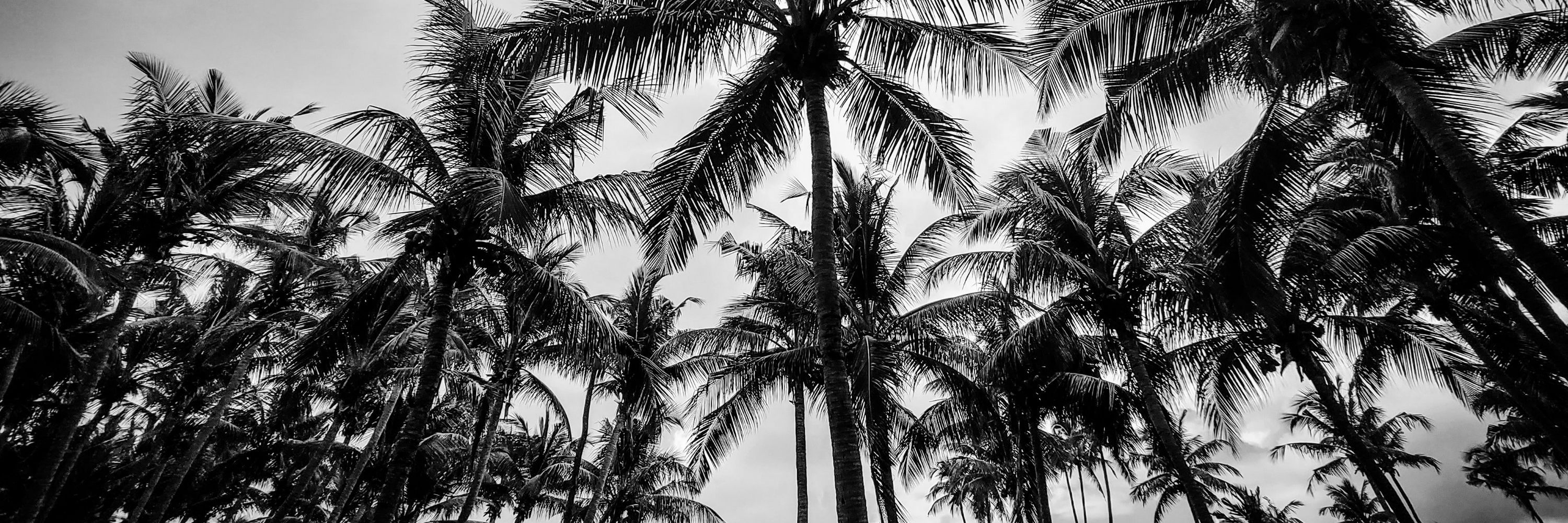 Nadu