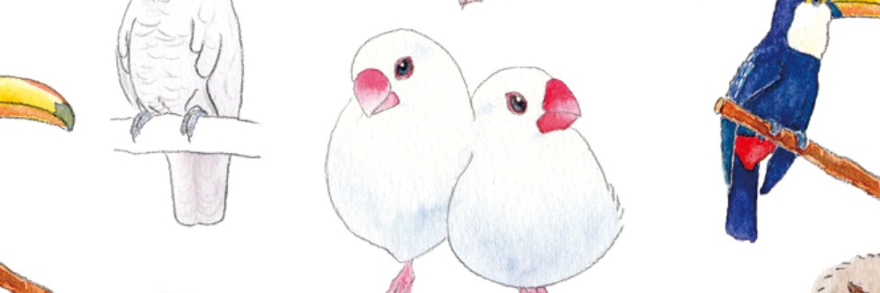 みじんこ