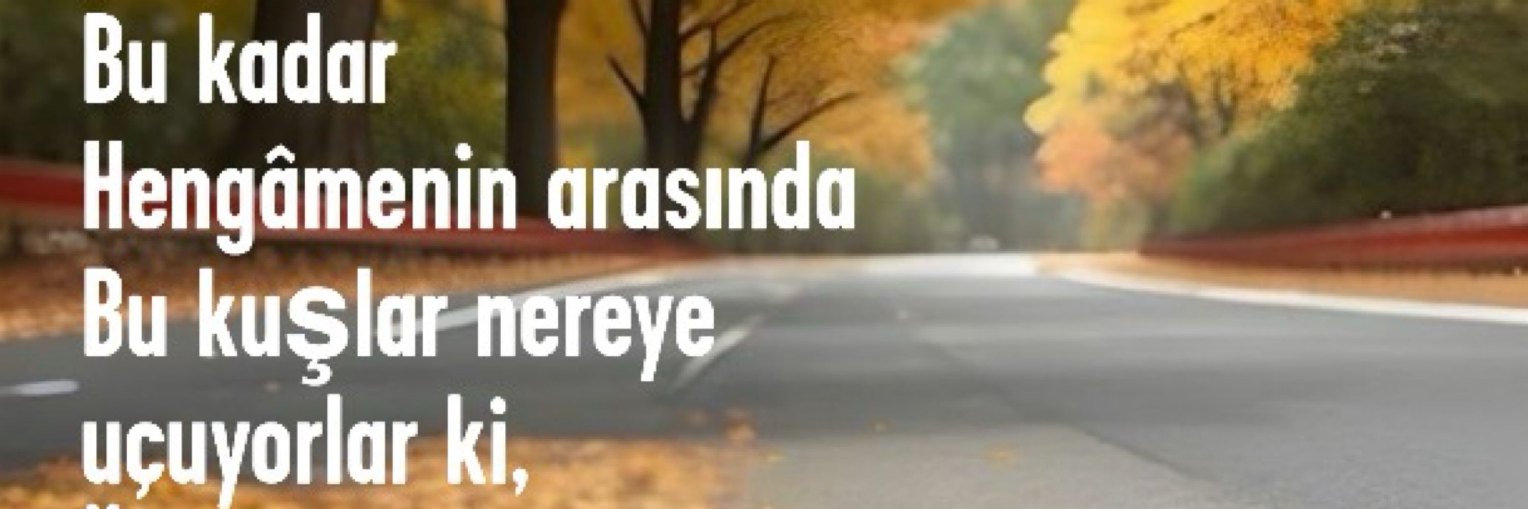 alitaşkale