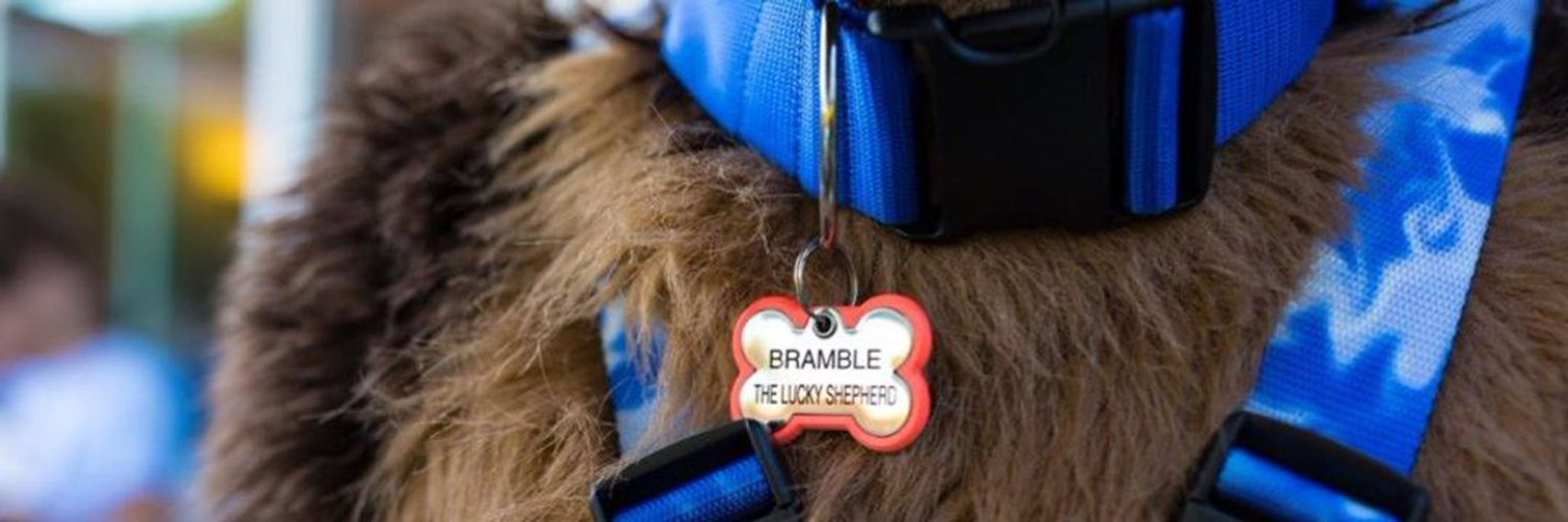 Bramble